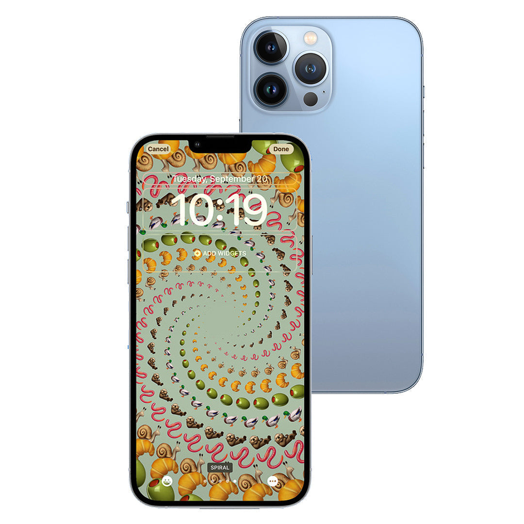 iPhone 13 Pro Max 1TB