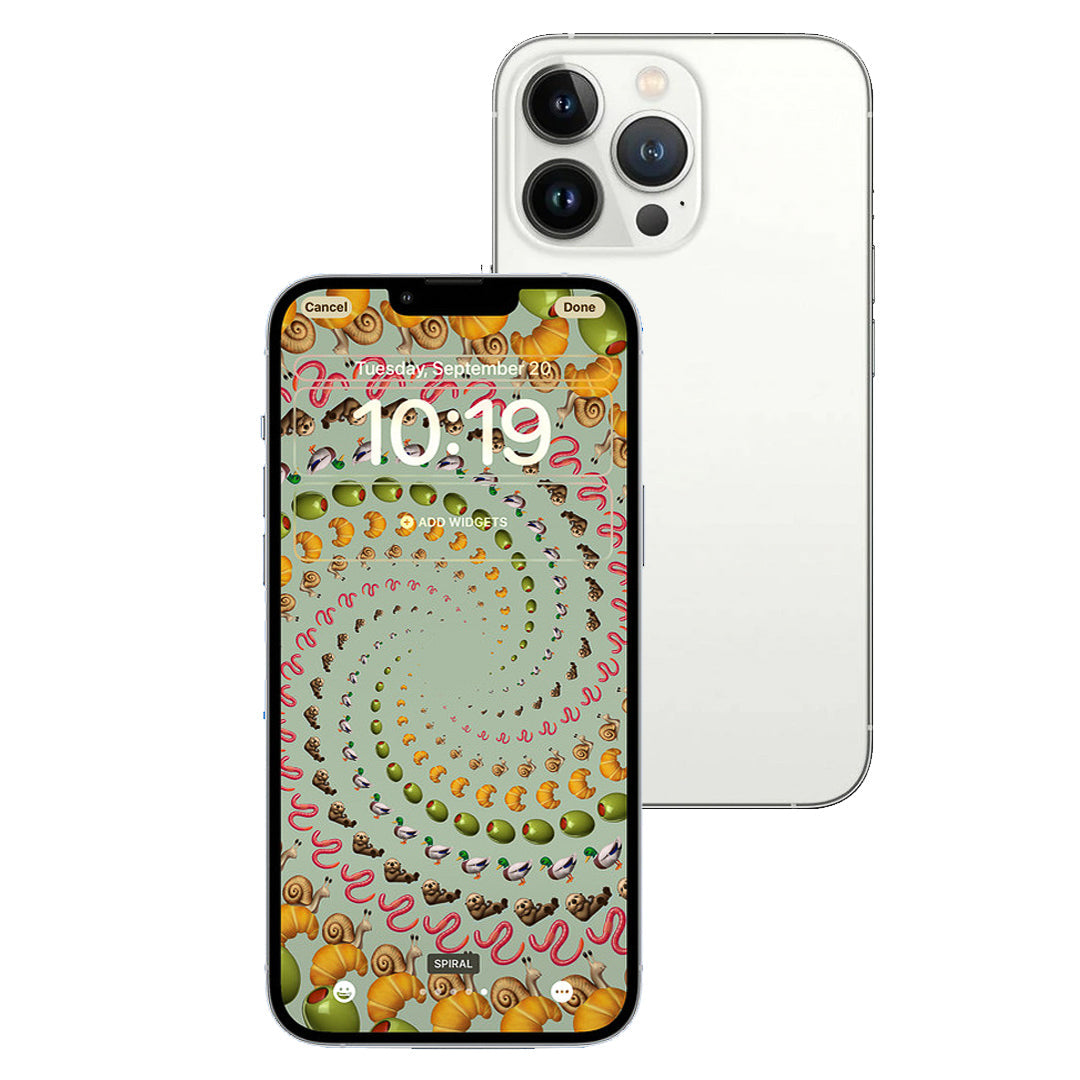 iPhone 13 Pro Max 1TB