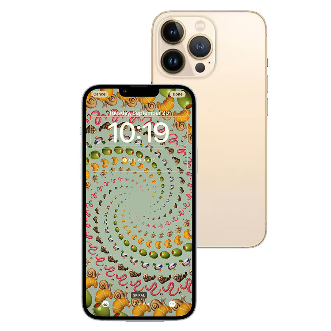 iPhone 13 Pro Max 1TB