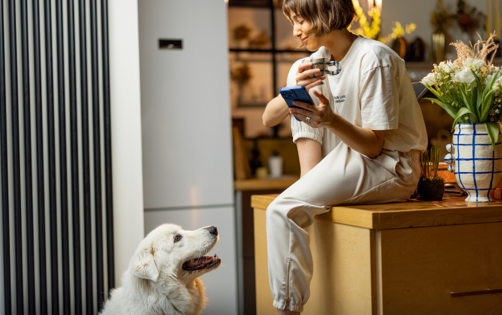 chill, content, youthful woman with a short bob holding a smartphone and coffee, sitting on a counter grinning down at her golden retriever