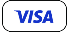 Payment Logo visa