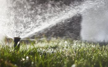 Sprinkler Woes? Trust Surprise's Repair Services!