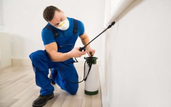 Safe Pest Control Products Eco-Friendly Options