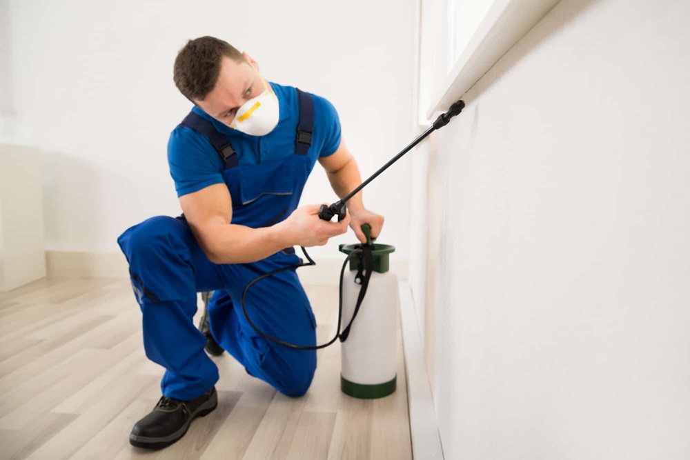 Safe Pest Control Products Eco-Friendly Options