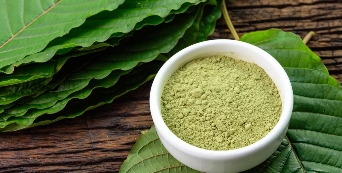 Decoding Red Maeng Da Kratom Insights into Its Unmatched Potency