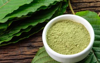 Decoding Red Maeng Da Kratom Insights into Its Unmatched Potency