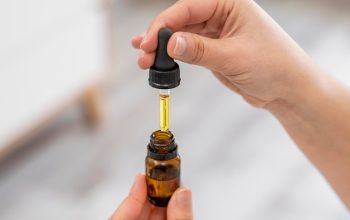 Edmonton’s Best CBD Oil: Top Choices for Health and Wellness